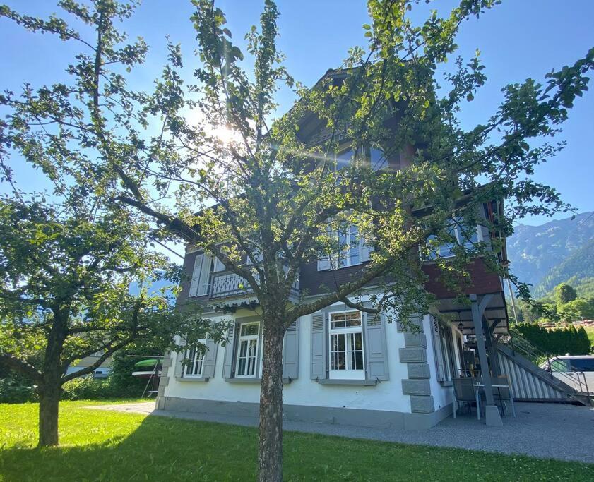 Chalet Mignon - Your Vacation Oasis At Lake Brienz Bönigen Exterior foto